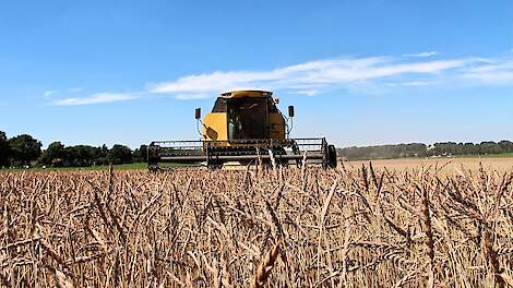 Granen op lage niveau van vóór 2021