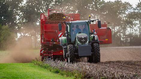 Oogstraming CBS: Bruto-opbrengst consumptieaardappelen en zaaiuien hoogste in 25 jaar