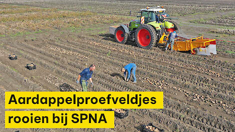 Aardappelproefveld rooien bij SPNA