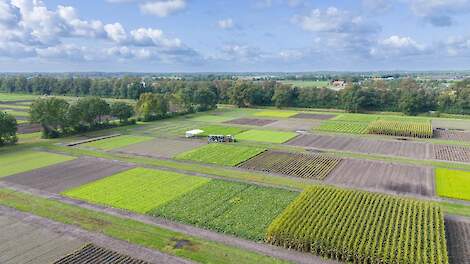 ICM zet stap richting duurzamere teelt, maar economisch perspectief blijft uitdaging