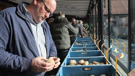 2025 heeft dertig nieuwe aardappelrassen in petto