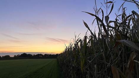 Uitdagingen mengteelt: terugblik op 2e seizoen regeneratief op Nieuw Altinge