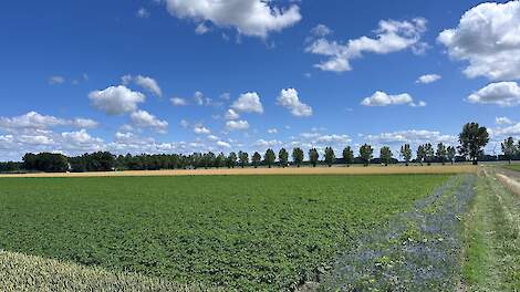 Twintig jaar transitie: hoe Saalland pioniert in de Flevopolder