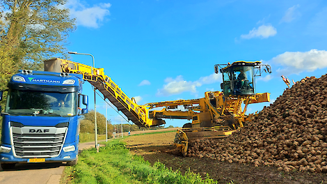 Suikerprijs blijft dalen