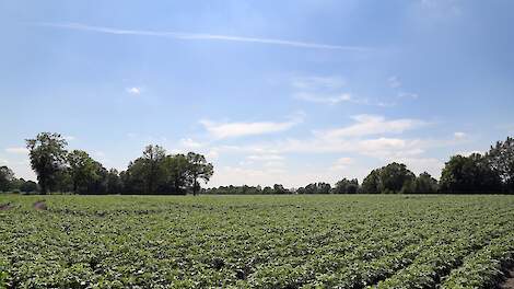 Landbouw- en milieucommissies Europees Parlement roepen op tot versnellen toelating groene middelen