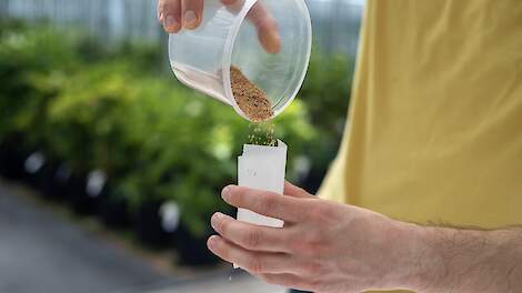 Royal HZPC Group boekt 'doorbraak' in Afrika: Hybride aardappelras toegelaten in Kenia