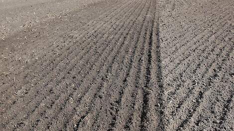 Ondanks ongelukkige brief van ministerie grijpt akkerbouwer mis bij duurzaamheidssubsidie