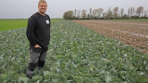 Loonbedrijf Nannes: Mechanisatie kooloogst goed te realiseren