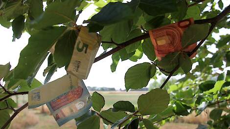 LTO en Flynth kritisch op rapport Deloitte over kosten en baten gangbare landbouw: 'Karikatuur van de werkelijkheid'