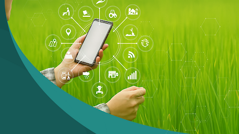 Hoe maak je van data écht dagelijks teeltinzicht?