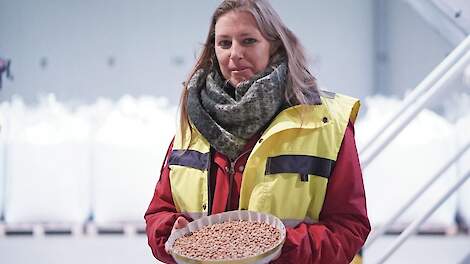 Trendy bonen van Zeeuwse bodem veroveren de markt