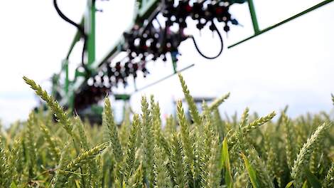Gezondheidsraad pleit voor eenvoudigere toelating en toepassing natuurlijke en biologische middelen
