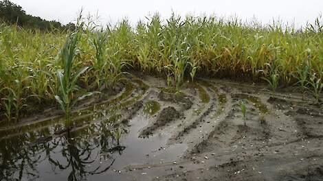 Geen hogere compensatie voor akkerbouwer na jarenlange strijd na overstroming in 2016