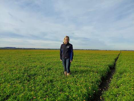 Iris Visscher, regio-onderzoeker en fytopatholoog bij Wageningen UR Open Teelten op proefbedrijf ’t Kompas in Valthermond.