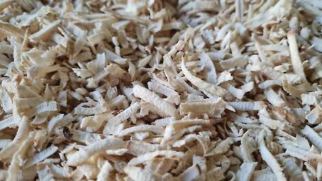 Reststromen cichorei en witlof in potentie natuurlijke insecticiden