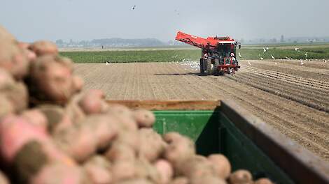 KIZ-prijs 2026 verdubbeld naar 5.000 euro vanwege 100-jarig bestaan vereniging