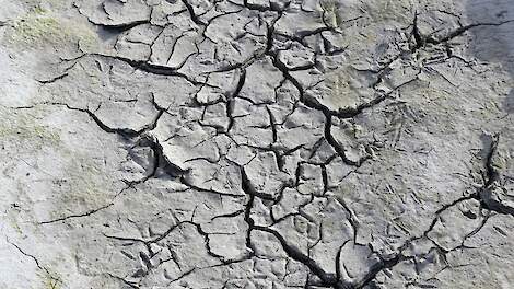 Uniek klimaatproces in België: Boeren ‘Don Quichot’ vecht tegen Franse multinational