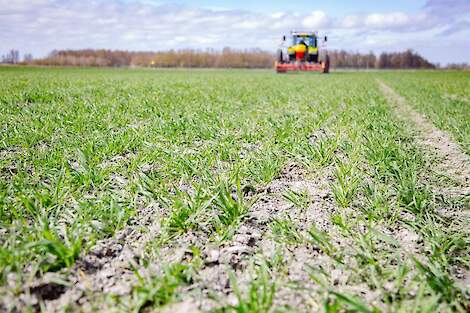 Het inzaaien van klaveronderzaai in graan op proefboerderij Kollumerwaard in Munnekezijl (FR).