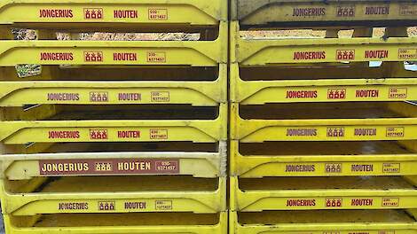 Doorstart Jongerius lijkt vrijwel uitgesloten: biosector schakelt over op noodplan voor plantgoed