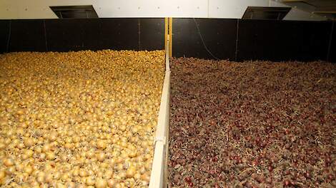 PPA maakt aflandpoolprijzen 2025 bekend: rode uien hard geraakt