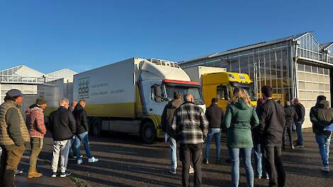 Kweekmateriaal Jongerius niet onder de veilinghamer