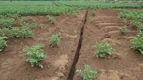Greppel niet af op sloot: ‘Anders zijn we Stomp na volgend jaar kwijt’