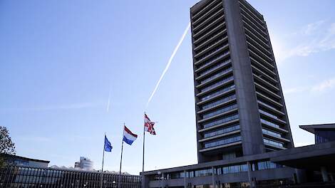 ZLTO: 'Brabantse aanpak voor boeren bij natuurgebieden ronduit schokkend'