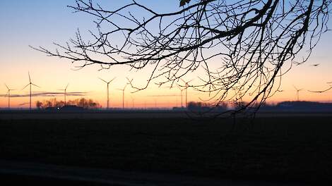 Column: Licht aan de horizon