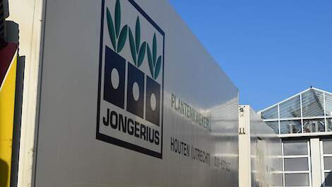 ‘Capaciteit Jongerius eerder op te vangen door gangbare dan door biologische opkwekers’