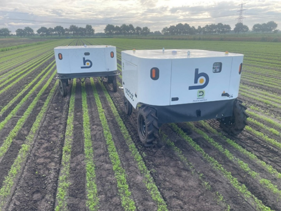 Onkruidbestrijding met robots op het land van Jaap Dun