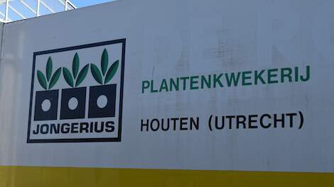 Nog geen faillissement. Verkenningsalliantie: ‘Alleen groot wonder kan nog zorgen voor doorstart Jongerius’