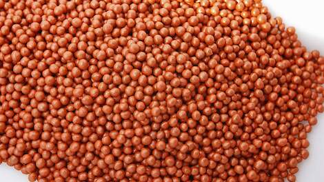 Twaalf nieuwe suikerbietenrassen op Aanbevelende Rassenlijst 2026