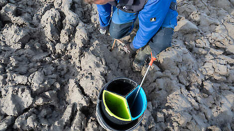 Agrifirm Balansbemesting aardappelen: ‘Zoektocht naar economisch en ecologisch optimum’