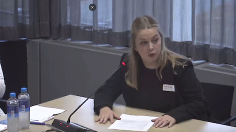 Brabantse groentetelers maken zich grote zorgen: ‘Met dit voornemen zijn onze bedrijven nauwelijks te financieren’