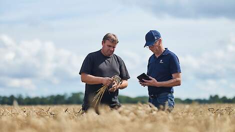 Ketenproject moet klimaatimpact brouwgerst verkleinen