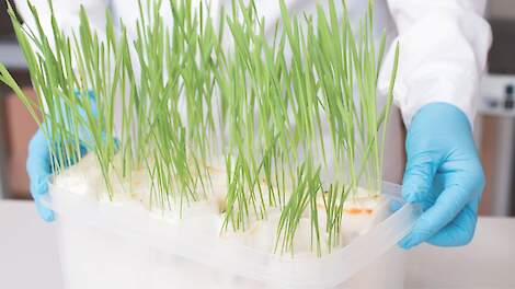 Biologische oplossingen worden onderdeel van ons totaalpakket