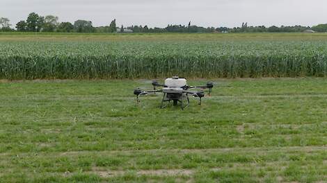 Leks Bolderdijk uit Vries (DR) mag als eerste drie landbouwdrones tegelijk inzetten