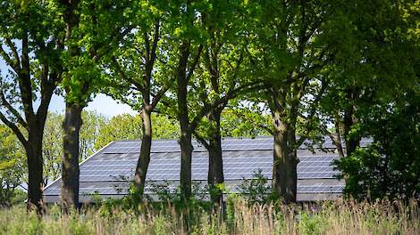 D66 en CDA willen KDW uit de wet, doelsturing en een gebiedsgerichte aanpak: 'Ultieme remedie is korting op dier- en fosfaatrechten'