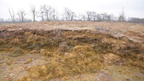 Bokashi: van maaisel tot meerwaarde