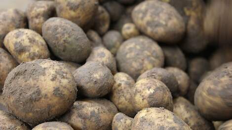 Aviko noteert historisch lage afland poolprijs