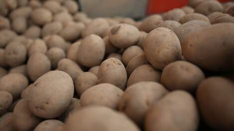 ACM grijpt in: Telers Farm Frites krijgen meer tijd om te beslissen over akkoord gaan met kortingssysteem