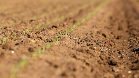 Bodem levert meer stikstof dan verwacht