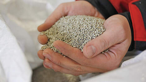 ‘Weinig risico van zoutschade’