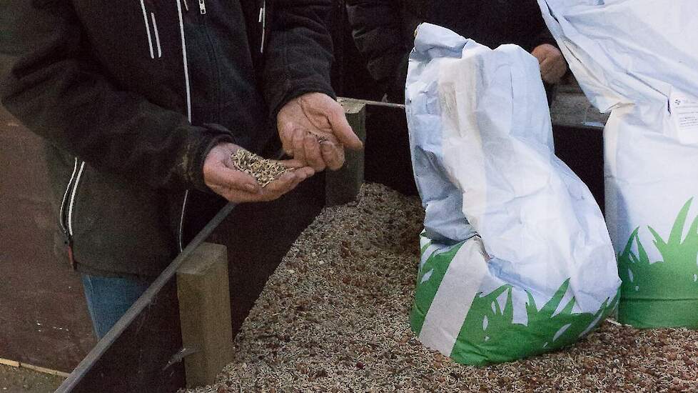 zadenmengsel groenbemesters