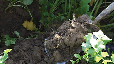 Löss heeft unieke dynamiek