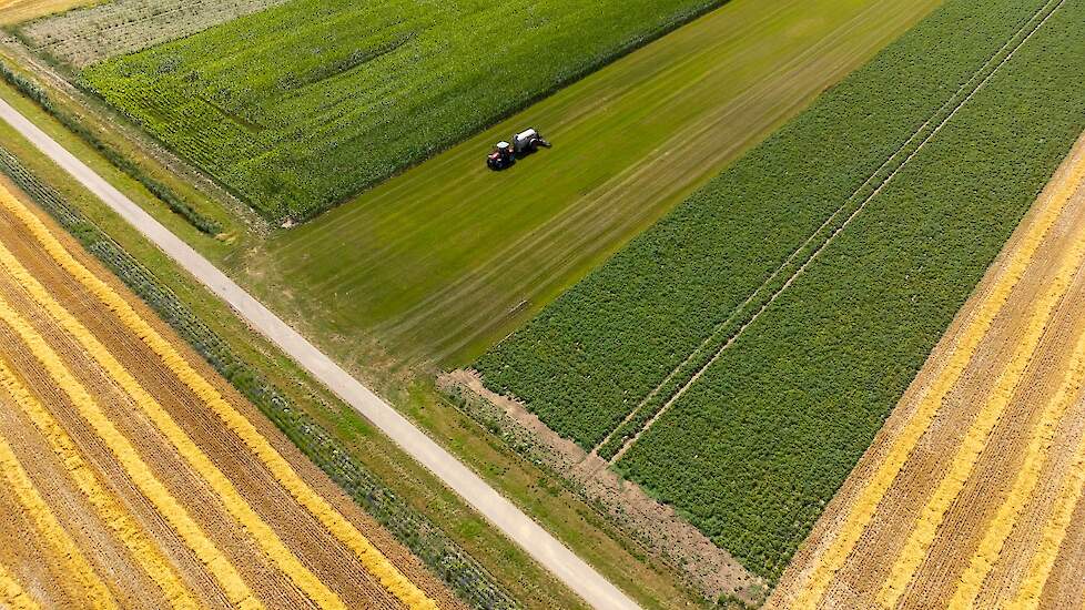 Proeftuin Van Pallandtpolder