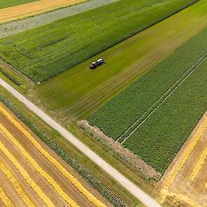 Proeftuin Van Pallandtpolder