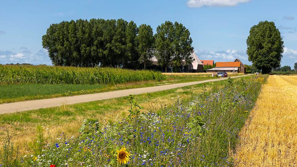 Proeftuin Van Pallandtpolder