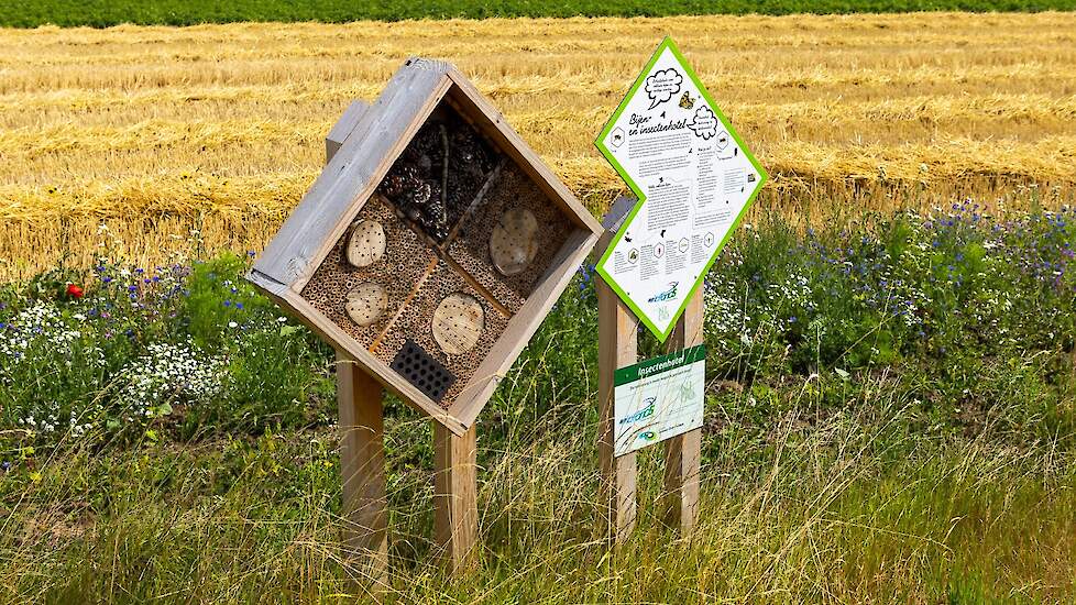 Proeftuin Van Pallandtpolder