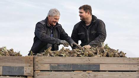 Witloftrek op water met eigen pennen